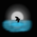 Jumping in the MoonLight.