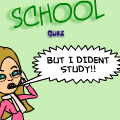 The School Quiz 