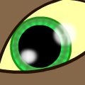 Feline Eye