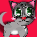 Kitten