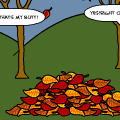 TotD: butt
