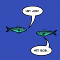 The Underwater World of Bob and Joe