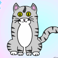 Kitten