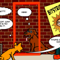 cats 'n dogs
