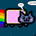 nyan cat