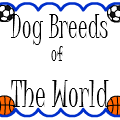 Dog Breeds of The World