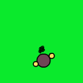 Wild pokemond fun!