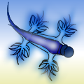 Sea Slug