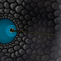 Inside the Well