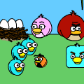 Bird Friends