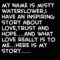 'the story begins...'
