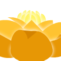 A Flower