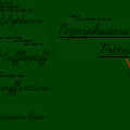 The Life and Death of Nymphadora Potter