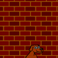 hip hop dog