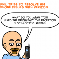 Travails of a Technology Consultant