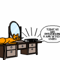 Feline perspective