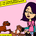 'pets'