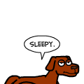 DOG EXPRESS