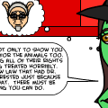 Elphaba's Story