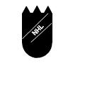 NHL logo???!!