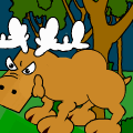 WILD LIFE!