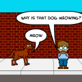 The Meowing Dog