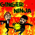 The Adventures of Ginger Ninja