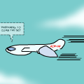 Flight Problems