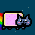 nyan cat in not so real life