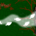 Aamina