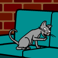 A Cat's Dream