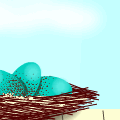 Robin's Nest