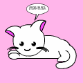 Kitteh!