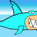 Shark 