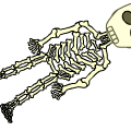 Skeleton