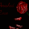 "Perished Rose