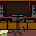 tv