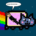 nyan cat