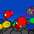 aqurum