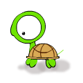 Cute Turtle!