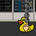 strong ducky