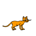 cats say bark