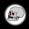 Arnold Schwarzenegger's Skull