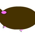 guinea pig