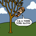 TotD: Drew, the 3 toed Sloth