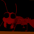 TotD: Bug