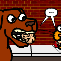 dogs kats everywere