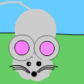 mouse