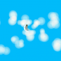 How I saw the moon