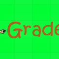 What grade will you be in?
